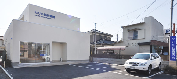 診療時間 地図 なりた動物病院 八王子市大楽寺町